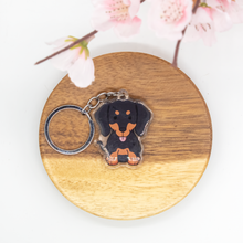 Load image into Gallery viewer, Dachshund Pet Dog Keychains Epoxy/Acrylic Keychain
