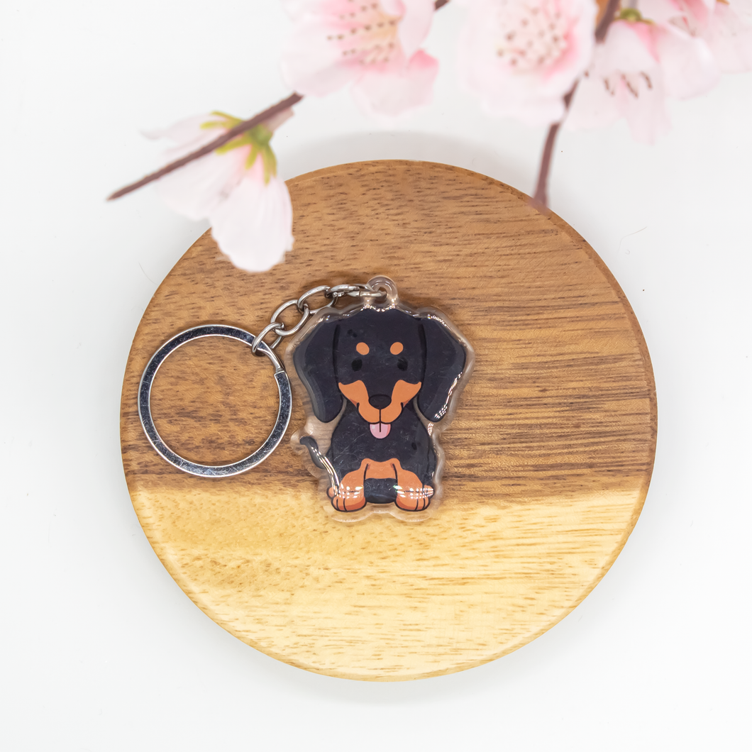 Dachshund Pet Dog Keychains Epoxy/Acrylic Keychain