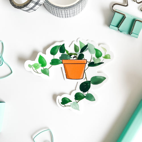 Devil's Ivy Plant pot sticker