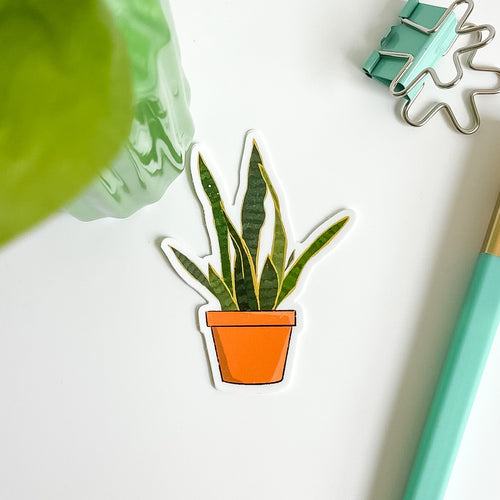 Snake Plant in terracotta pot sticker