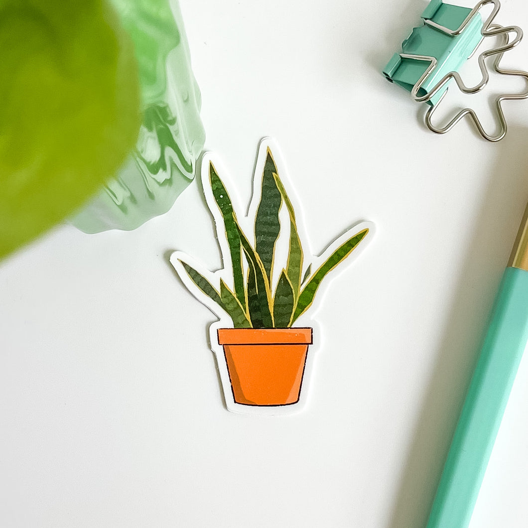 Snake Plant in terracotta pot sticker
