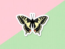 Load image into Gallery viewer, Old World Swallowtail butterfly
